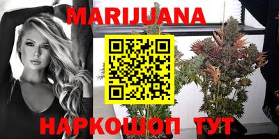 тгк Канаш