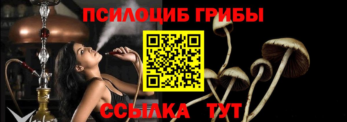 Псилоцибиновые грибы ЛСД  продажа наркотиков  Ишим  Вход с VPN 